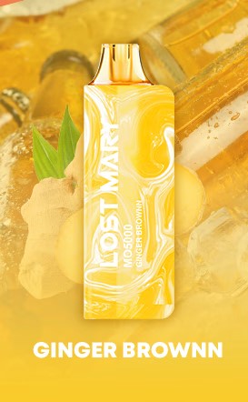 Lost Mary Rechargeable Disposable MO5000 (One of a Kind)
